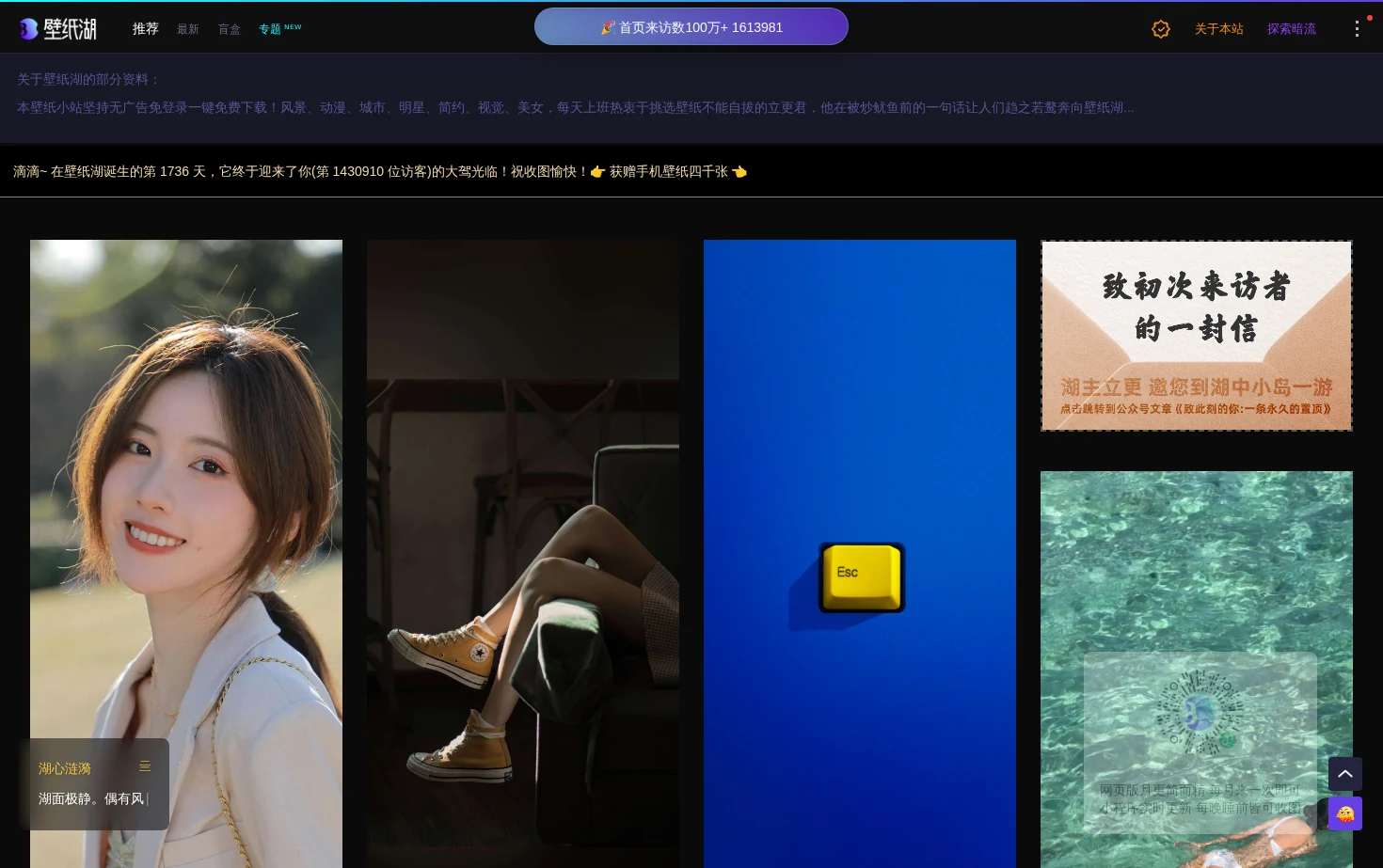 壁纸湖 页面快照